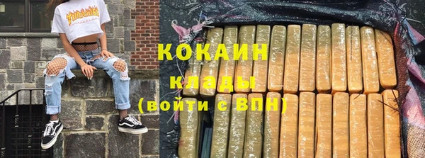 кокс Алексин