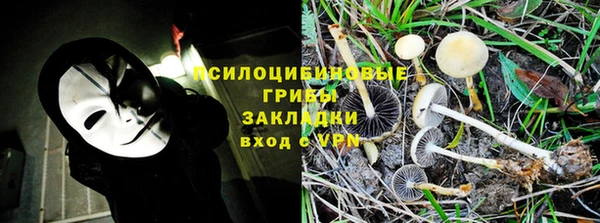 кокс Алексин