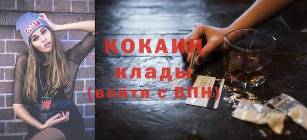 кокс Алексин