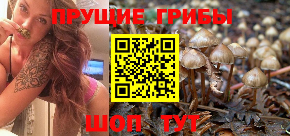 Псилоцибиновые грибы мицелий  Вход с VPN  Ступино 